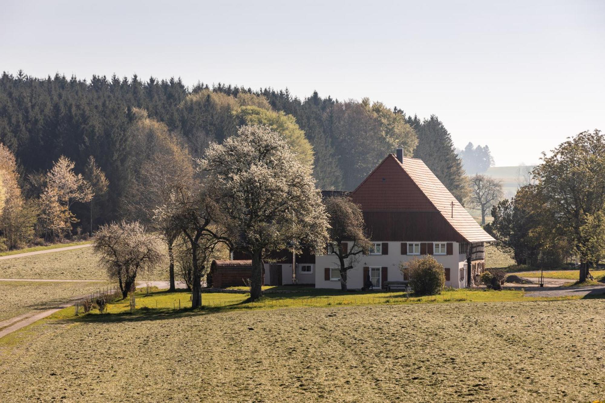 Ferienhof Greuthof Bad Wurzach Exterior foto